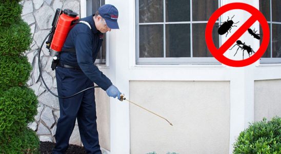 Sinanpaşa Tahtakurusu İlaçlama böcek ilaçlama ve haşere kontrolü — ilaclama-tr.com